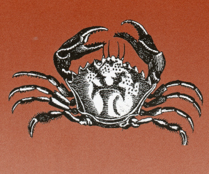 Crab